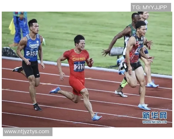 深圳排球队拼搏之路：亚运会背后的奋斗与荣耀